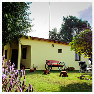 
Cabañas El Algarrobo | Alojamiento en General Alvear Mendoza